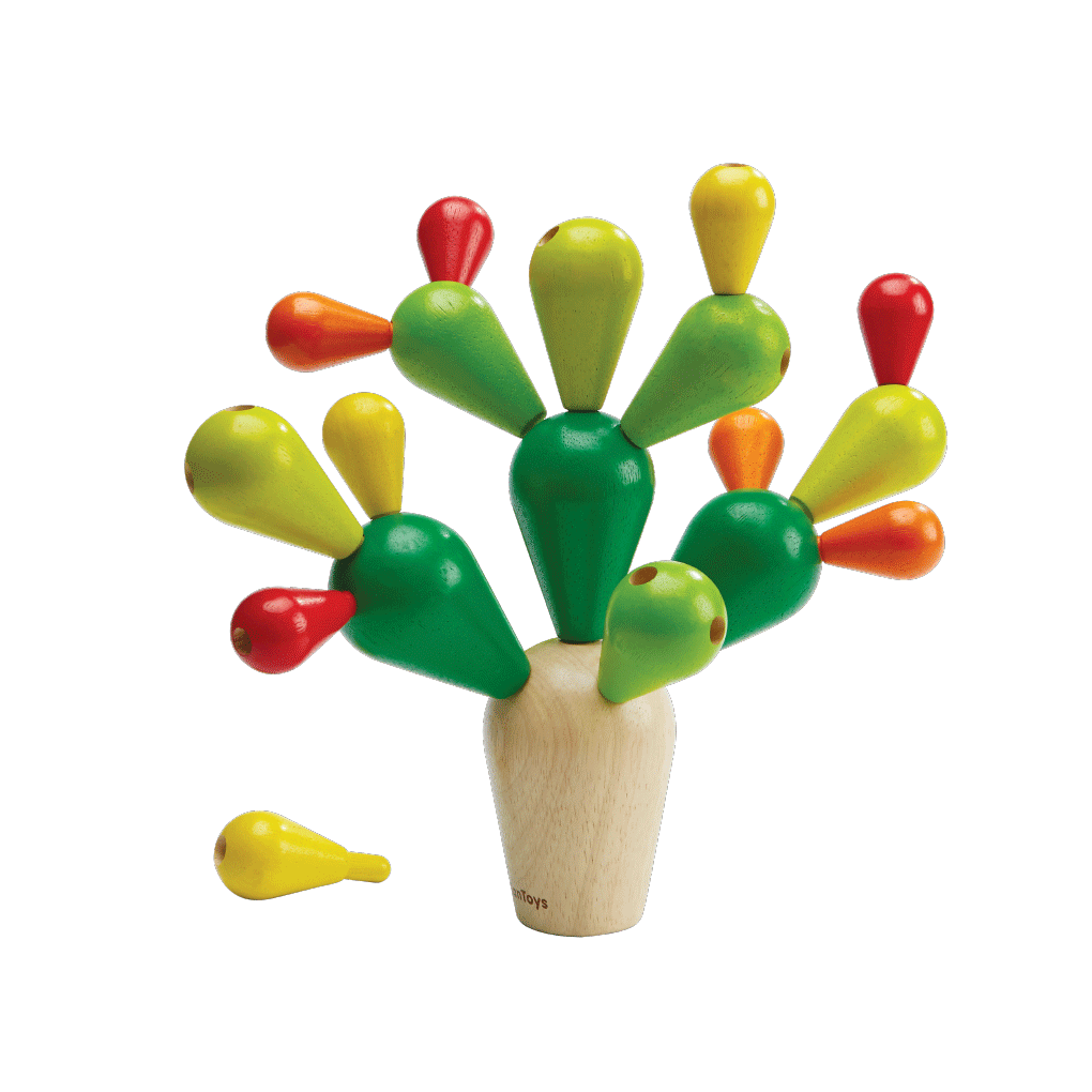 Balancing Cactusㅤ - Natural CuteNest