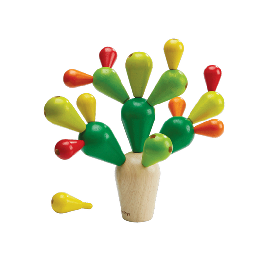 Balancing Cactusㅤ - Natural CuteNest