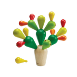 Balancing Cactusㅤ - Natural CuteNest