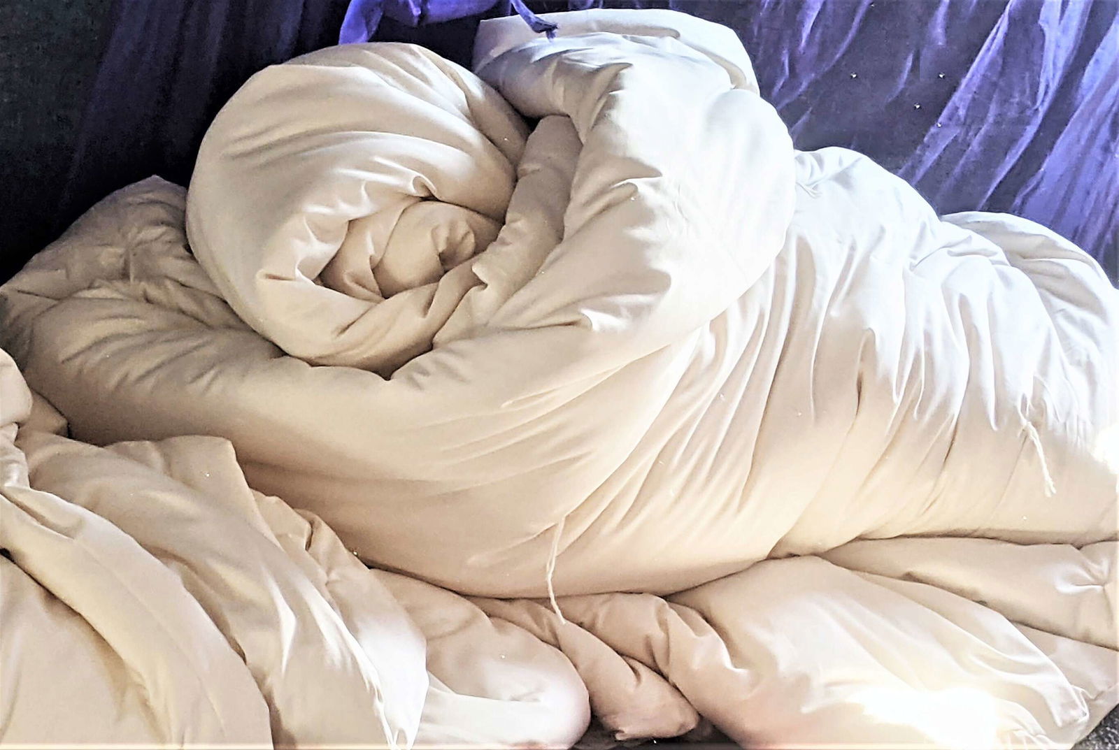GOTS Organic Cotton Duvet - Non Washable - Natural CuteNest