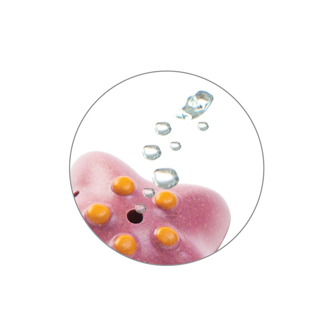 Sea Life Bath Set - Natural CuteNest