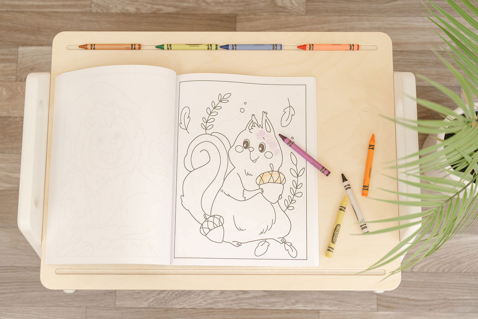 The Play Tray - Natural CuteNest